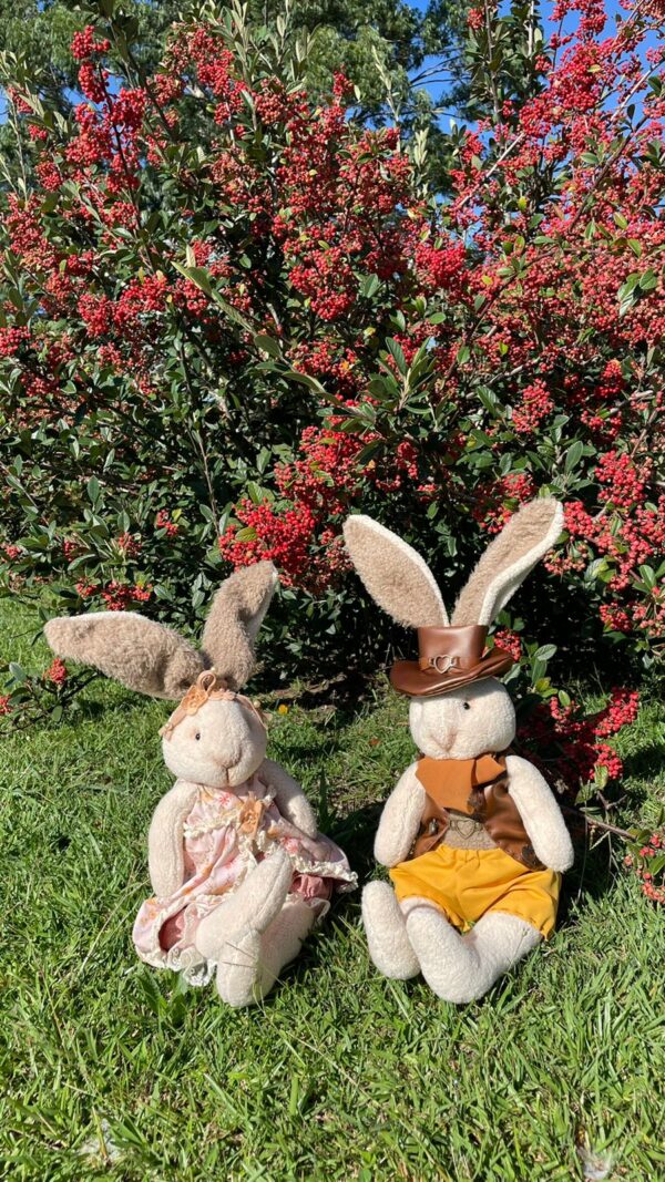 Molde - Coelhos Helo e Teedo - Image 7