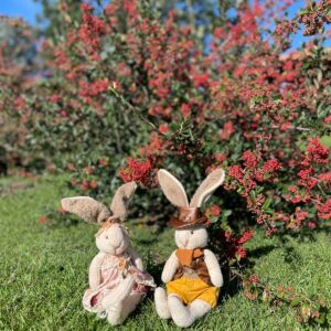 Molde - Coelhos Helo e Teedo