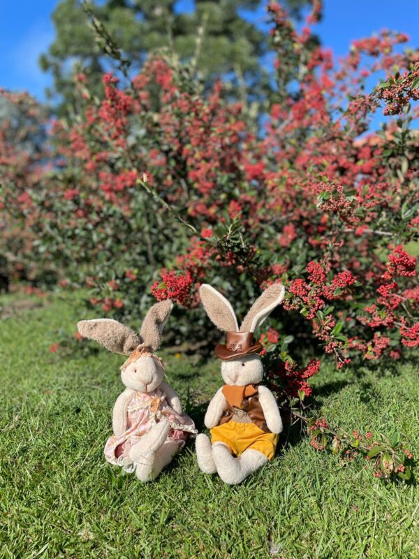 Molde - Coelhos Helo e Teedo