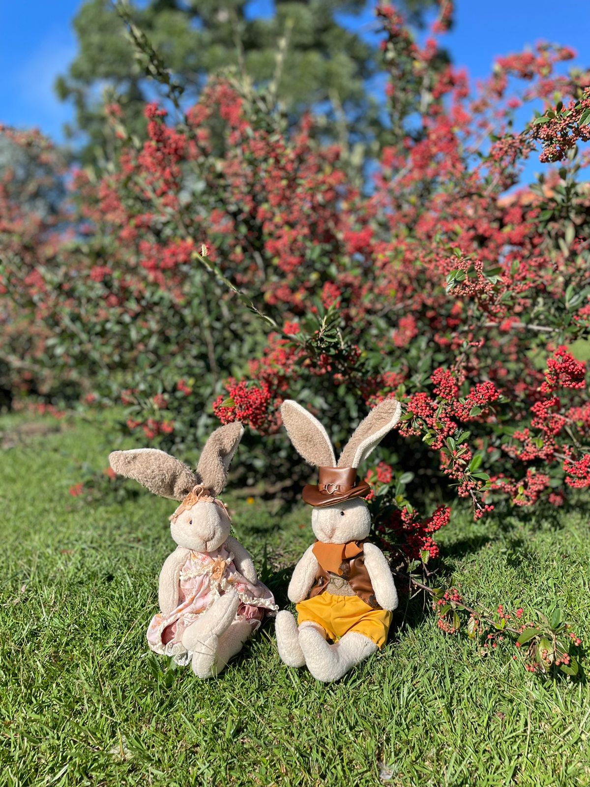 Molde - Coelhos Helo e Teedo